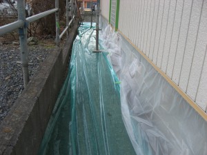 IMG_0595
