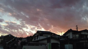 IMG_0353a